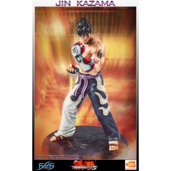 Tekken 5 Statue 1/4 Jin Kazama 48 cm